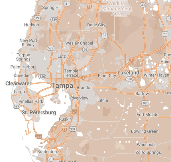 junk cars for cash Tampa